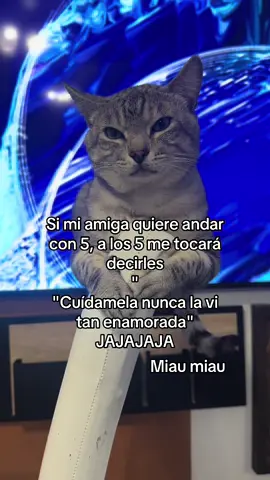 Miau miau #gato #gatos #gatitos #michi #michis #cat #catsoftiktok #gatitos_haciendo_cosas #mascotas #tendencia 