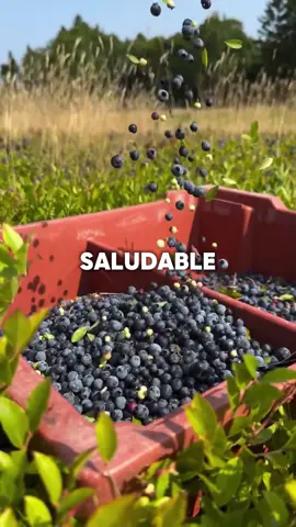 Sabías esto? 🤔 sígueme para más consejos de salud #comidasaludable #frutas #frutasyverduras #alimentacionsaludable #salud 