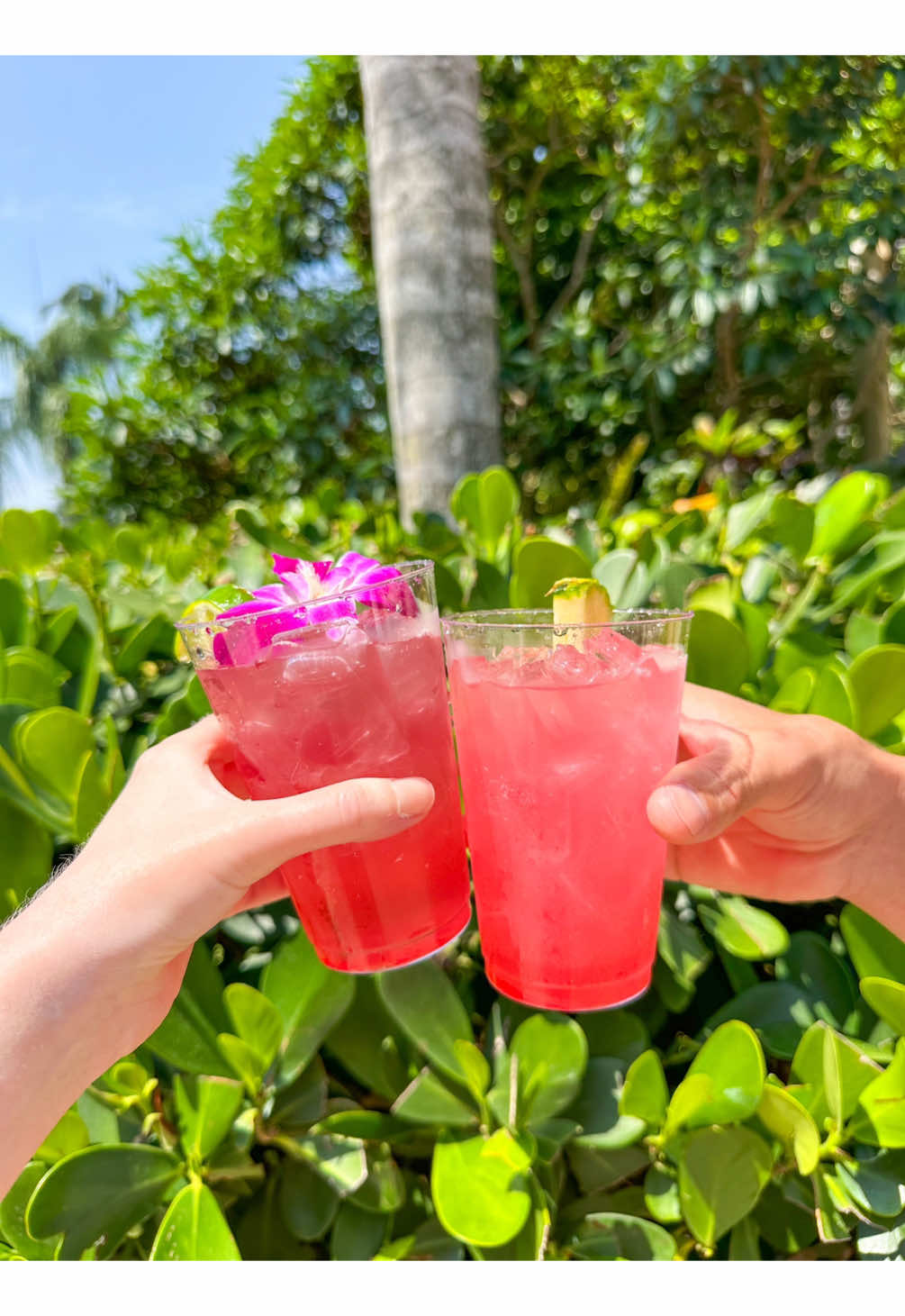 Cocktails, swimming with tropical fish, and eating as much food as we like? It’s Discovery Cove Orlando 🫶🐠🌴 If you book a visit to Discovery Cove Orlando in 2026, you get a free Premium Drink Package included! You can enjoy speciality and frozen cocktails, mixed drinks, and premium beer during your entire day in paradise. Our favourite part is simply showing your lanyard to the bartender, they make your drink, and you’re on your way to your next experience. It’s seamless 🦩 Book via our website before 31st July 2025 to get your Premium Drink Package included for visits to Discovery Cove Orlando between 1st January - 31st December 2026! #discoverycoveorlando #discoverycove #orlandoflorida #florida #allinclusive #visitorlando #visitflorida 