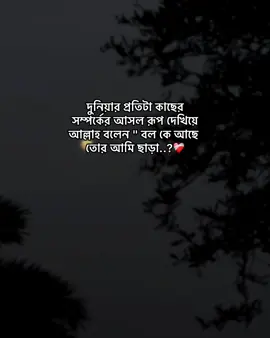 দুনিয়ার প্রতিটা কাছের সম্পর্কের আসল রূপ দেখিয়ে আল্লাহ বলেন 