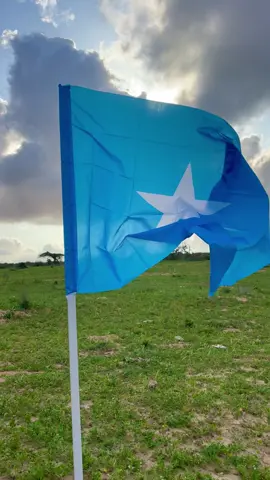 #calanka #somali 🇸🇴🇸🇴todopadka xuriyada