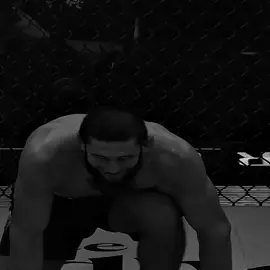 Borz 🐺 #khamzatchimaev #borz #UFC #ufcedit #ufceurasiav #mma #fyp
