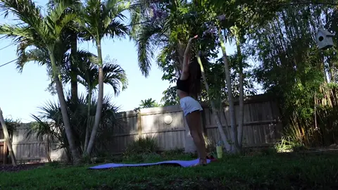 flow from the other morning 🌼