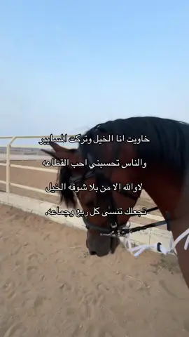 👌🏻.   #foryoupage  #foryoupage #foryoupagee #explorer #خيل_وخياله🐎 #505 #خيل_وخياله🐎 #foryoupage  #foryoupage  #foryoupage #foryoupagee #explorer #خيل_وخياله🐎 #505 #خيل_وخياله🐎 #foryoupage 