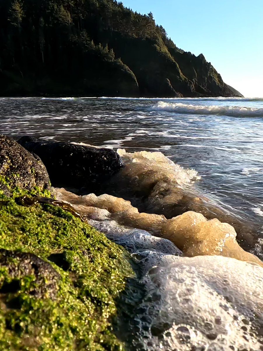 Beach dreams ✨️  #beach #ocean #sea #waves #oregon #pacificnorthwest #oregoncoast #calm 