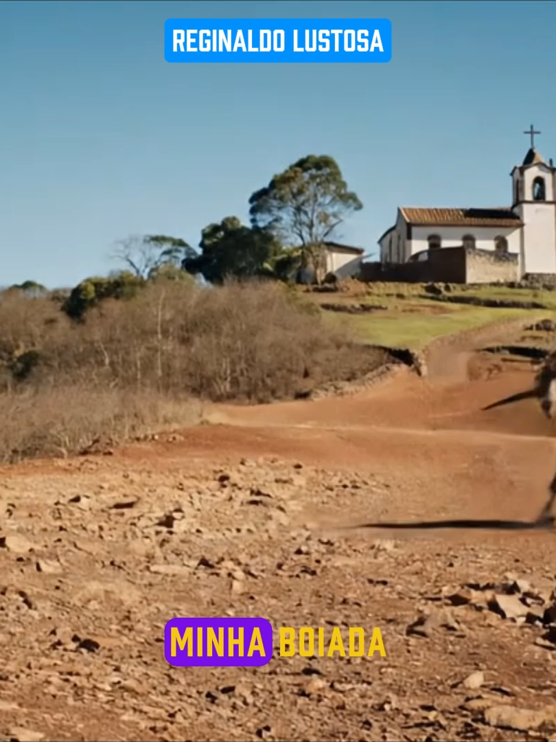 voz de @vozdosencantados babado mesmo #boiadeiro #xetrua  #umbanda #incorporação