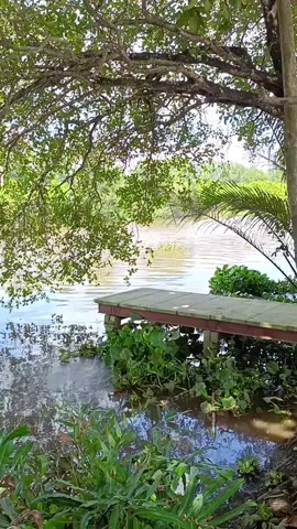 thôi kệ ... biết thì cứ để đó thôi . cứ trân thành để xem họ như thế nào . 