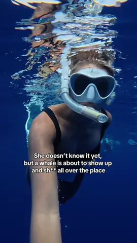 Full video coming tomorrow 🙈 #hawaii #hawaiitrip #hawaiitravel #whale #konahawaii #thebigisland #thingstodohawaii #travelblogger #ocean #pilotwhales #freediving #diving 