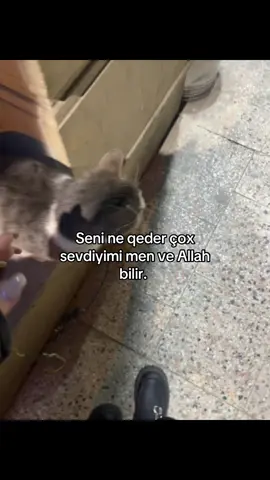 🥹💘 #sevgi #duygular #fyp #sevgisozleri #keşfet #azerbaycan#sevgi  #keşfetteyizzz 