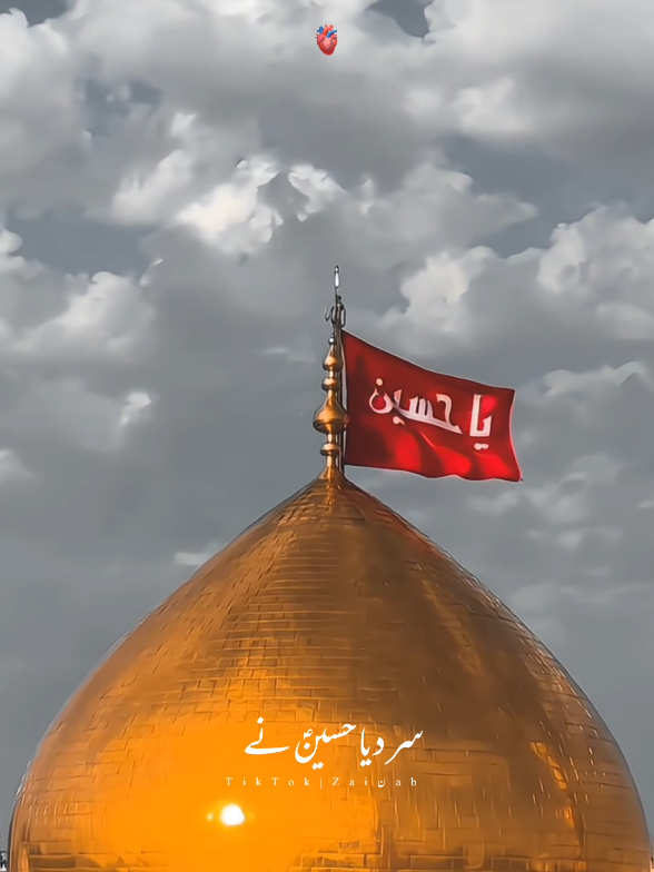 khud Ali A.s Yeh keh rhy ke Ali Hussain A.s hy😭❤️‍🩹 | 2025 Muharam status  #Muharam #shiastatus  #yaali #unfreezmyaccount  #aliwaly #aliunwaliullah #yaali #fyp #islamic #Zilhajj #moulaali #karbala  #imamhusain 