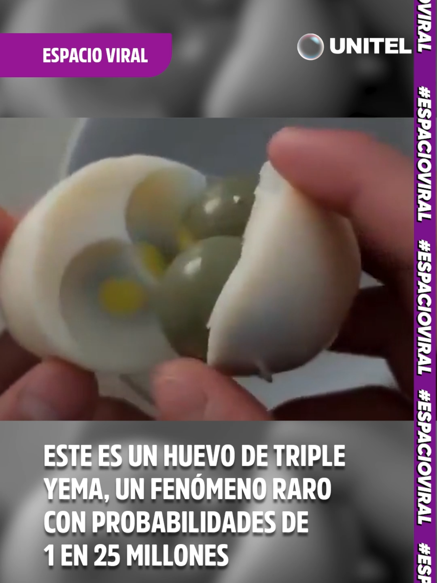 Este es un huevo de triple yema, un fenómeno raro con probabilidades de 1 en 25 millones #Unitel #Virales #EspacioViral #VideoViral #Huevo #Interesante #Curioso #LoMásViral #Tendencias #QuéVer