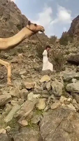 ماشآءالله راح القعود في ضهر الهرش 😂👋