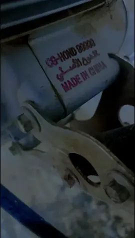 #راعي_الخلدون🦅 