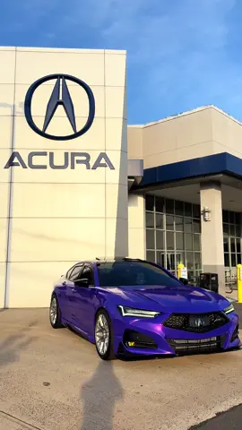 built not bought 😈💰IG:ASPEC.SHADOW  @acura #acura #acuraTLX #acuratlxaspec #aspec #tlx #tlxclub #tlxclubofamerica #viral #trending #cars #carsoftiktok #ladydriver #ladydriven #femaledriver #femaledriven #acurapartner #acuradealership #acuradealer #purplecar #purplewrap #viralvideo #trendingvideo #connecticut #gengartlx #redinterior #ctcars 