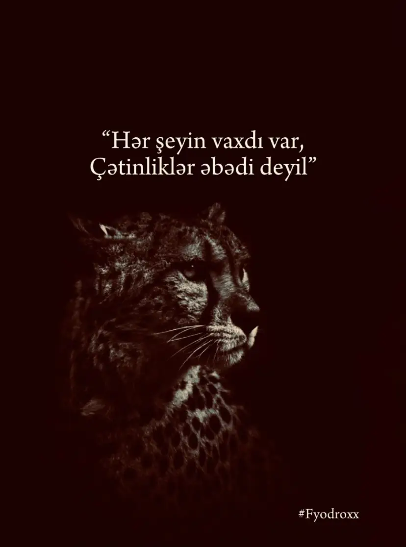#fypp #keşfetteyizzz #fyodroxx 