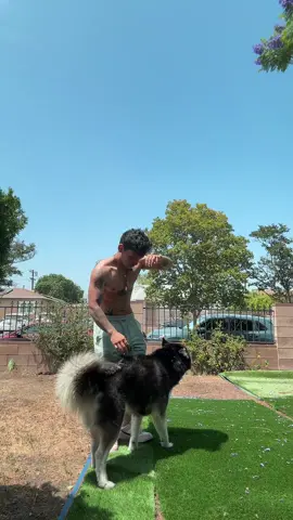 Dogs are out back in front and they don’t want you around them because they’re going out to get a drink or two 2️⃣ foot by three 3️⃣ inch wide by four 4️⃣ foot T and I think that’s what you w your dog 🐕 nsuevekveughscufjeocpnxlskekauevcuevxie. Get your own bed or a pillow or whatever you can 👌🏽 