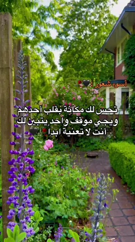 اي نعم 🖤🥀#تصويري_احترافي_الاجواء👌🏻🕊😴 #تصميم_فيديوهات🎶🎤🎬 #كتاباتي 
