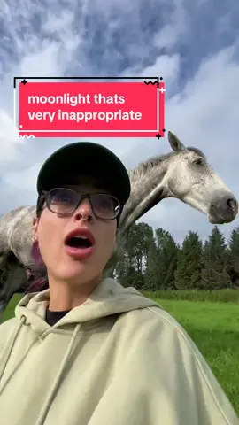 Maybe a little..too relaxed. #equestrian #horsetok #horseriding #equine #horses #horsegirl #horse #horsesoftiktok #equestrianvibes #fyp #foryou #abcxyz 