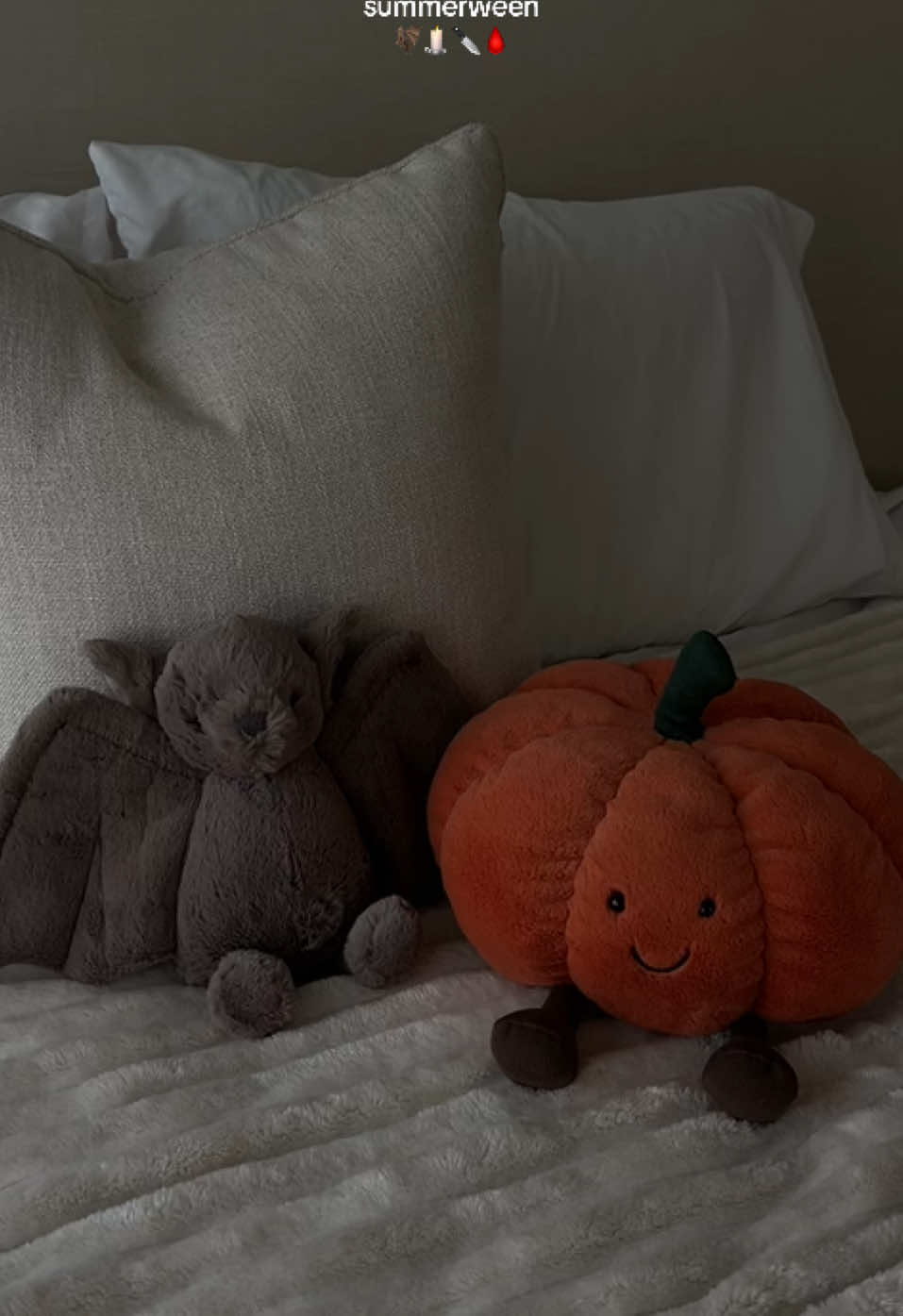 summerween is here 🦇🕯️🖤 #summerween #summerween2025 #halloween #halloweencountdown #spookyseason #spookyszn #spookyvibes #fall #fallaesthetic #autumnvibes #horrormovie #horrortok #halloweentok 