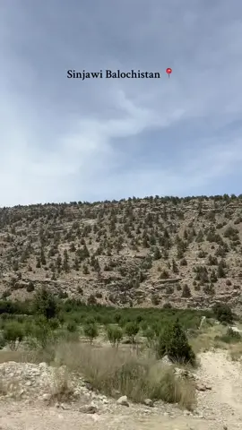 Sinjawi , The Heaven On Earth🌲🌴#fyp #fypシ゚ #balochistan #sinjawi #sinjawibalochistan #sinjawiziarat #viral #goviral #unfreezemyacount #repost #foryou 