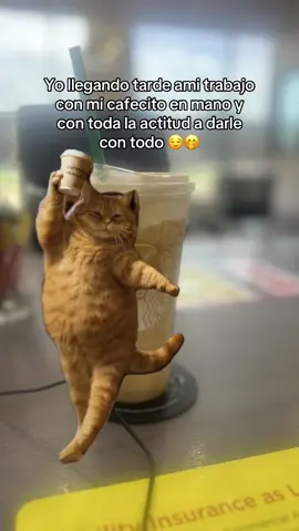 #CapCut #fyp #fypシ #parati #contodalaactitud #buenasvibras #paratipage #salienparati #cafecito #pontelaspilas #chistoso #viral_video 