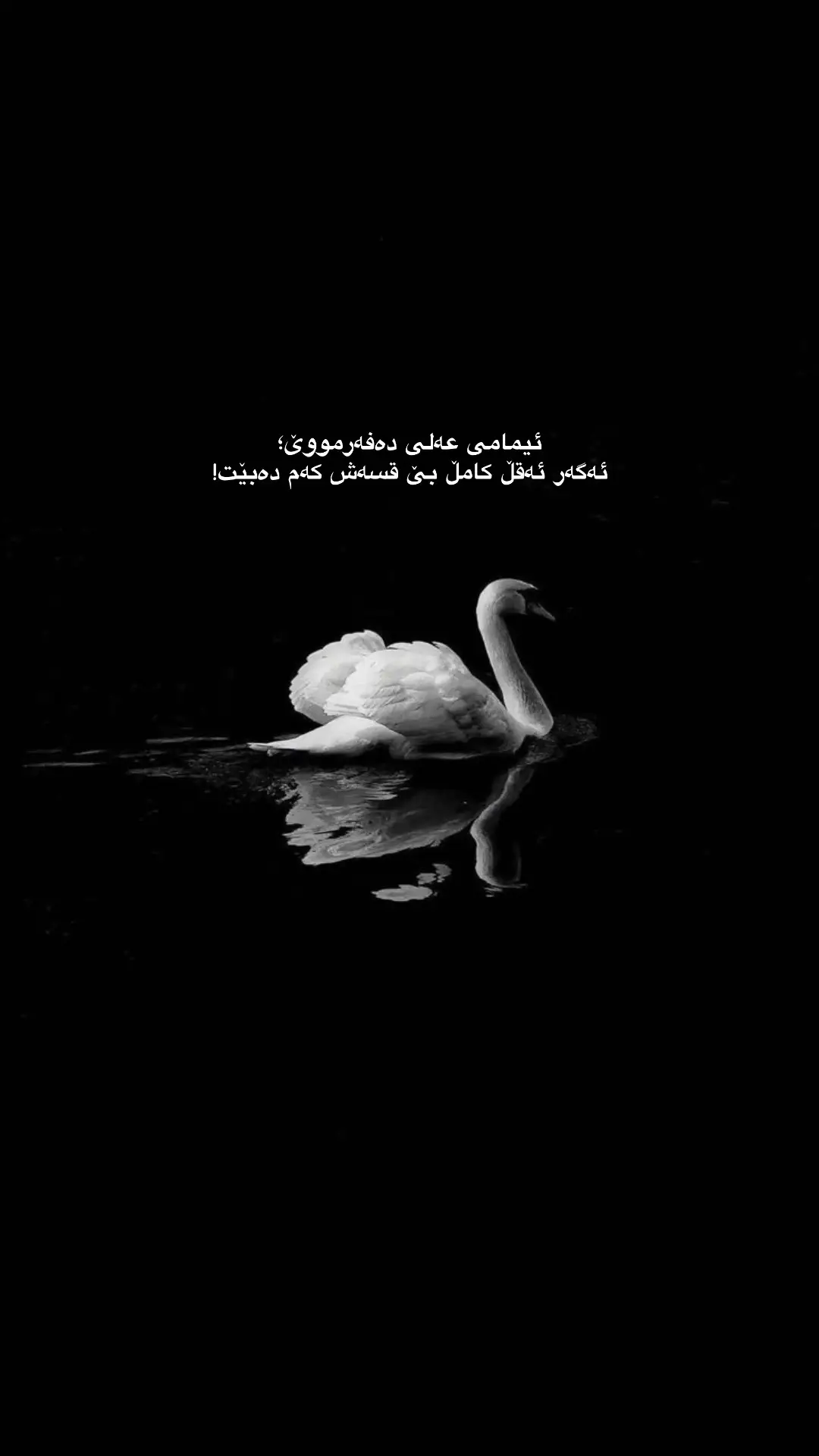 #foryou #tiktok #rasty_lak #l4rree #foryoupage #creatorsearchinsights #fyp #duo 