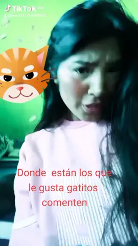Beth#  donde  están los que les gustan gatitos yo amo a los gatos ###fytシviral🍀