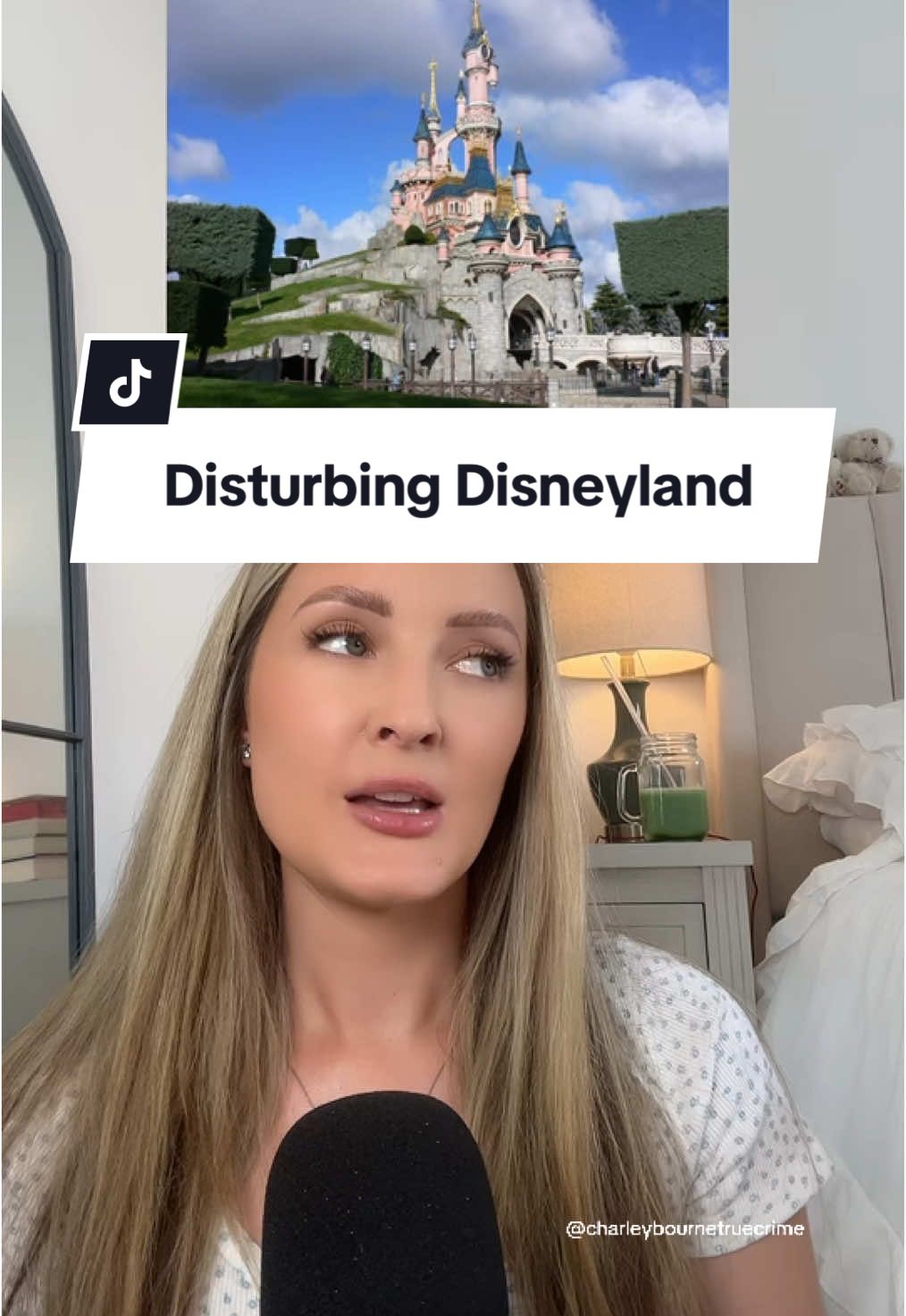 very disturbing disneyland situation.. #truecrime #truecrimetok #crimetok #crimetiktok #truecrimecommunity #truecrimestory 