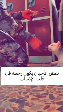 قال رسول الله (صلى الله عليه وآله): الراحمون يرحمهم الرحمن تبارك وتعالى، ارحموا من في الأرض يرحمكم من في السماء#جهاز_مكافحة_الارهاب  #الفرقة_الذهبية_جهاز_مكافحة_الارهاب  #العمليات_الخاصه_الفرقه_الذهبيه  #ضباط_العراق_قادة_العراق_اسود_العراق  #شعب_الصيني_ماله_حل😂😂  #مشاهدات_تيك_توك 