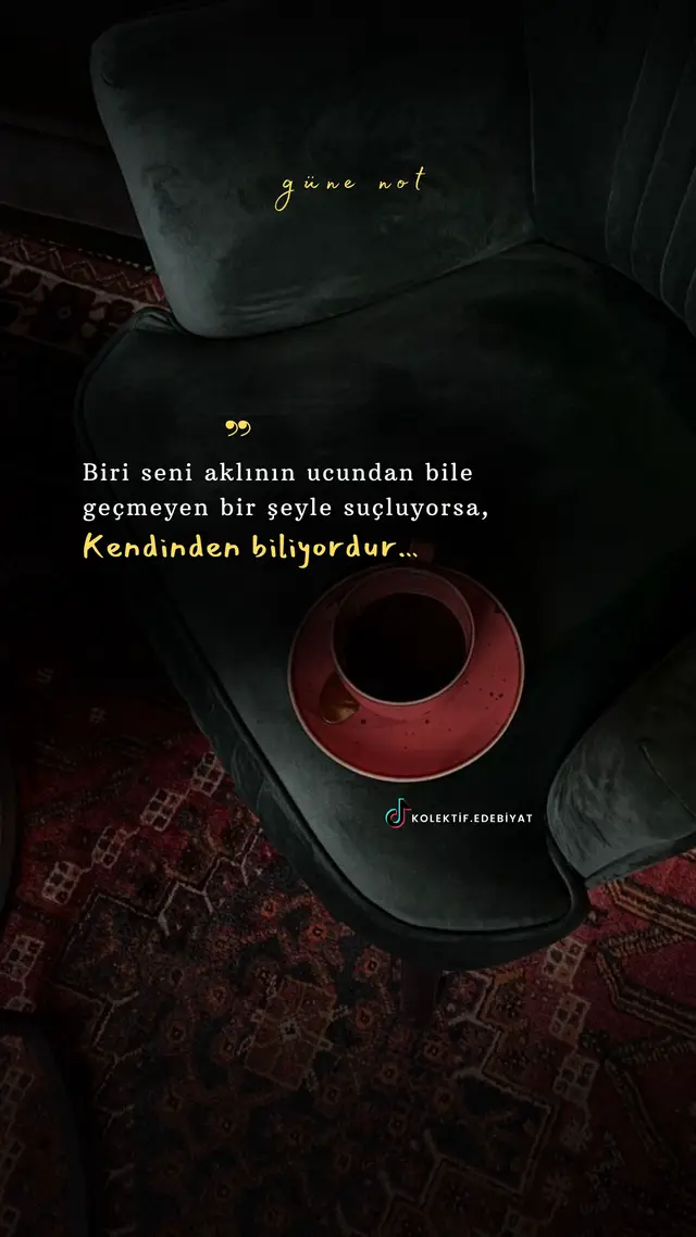 Biri seni aklının ucundan bile geçmeyen bir şeyle suçluyorsa, kendinden biliyordur. #sözlüvideolar #alıntı #alıntılar #yazılıvideolar #edebiyat #hikmetlisözler #fyp #foryourpages #foryou #duvaryazıları #keşfetteyizzzzzzzz #keşfetteyizzzzzzz #reel #reels #öneçıkar #keşfet #şiir #şiirsokakta #derinsözler #duygusalvideolar 