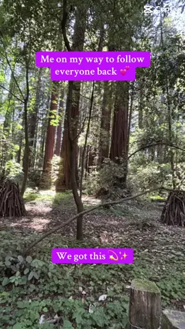 Me on my way to follow everyone who showed some love 💕💖 (after they let me outta TikTok jail 😂) I had no idea you could follow people too frequently cuz wth 😩😂#follow #support #thankyou 