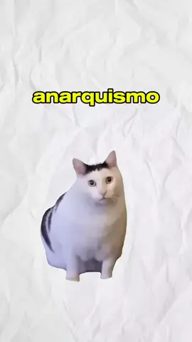 explicando anarquismo com gatos #gatos #humor 