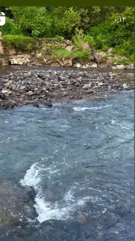 #عدن_عشقي_آب_تعز_صنعاء_الحديدة #الجنوب_التونسي🇹🇳👑 #المغرب🇲🇦تونس🇹🇳الجزائر🇩🇿 #اليمن🇾🇪المملكة🇸🇦_عمان🇴🇲_الاردن🇯🇴ليبيا #دول_الخليج_العربي #العراق_السعوديه_الاردن_الخليج #لبيا_طرابلس_مصر_تونس_المغرب_الخليج #المغتربين_اليمنيين_حول_العالم #ايران_العراق_سعوديه_سوريا_كوت #ليبيا_طرابلس🇱🇾🇱🇾🇱🇾 #اليمن🇾🇪المملكة🇸🇦 #العالم_العربي #اليمن_صنعاء_تعز_اب_ذمار_عدن_وطن_واحد 