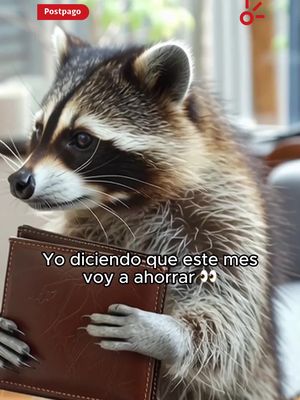 Un Buen Plan es usar tu tarjeta de crédito para llevarte tu nuevo equipazo en cuotas sin intereses.