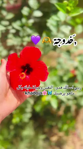 #CapCut #💜💜💜 #لايك__explore___ #تمنراست_عين_صالح_اليزي_جانت #اكسبلور 