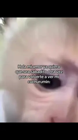 Yooo