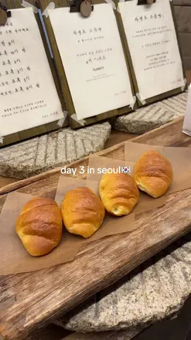 day 3 in seoul! everland was crazy #seoul #korea #koreatravel #southkorea #seoultravel #seoullife #everland #everlandkorea #koreafood #koreapanda #seoultrip 