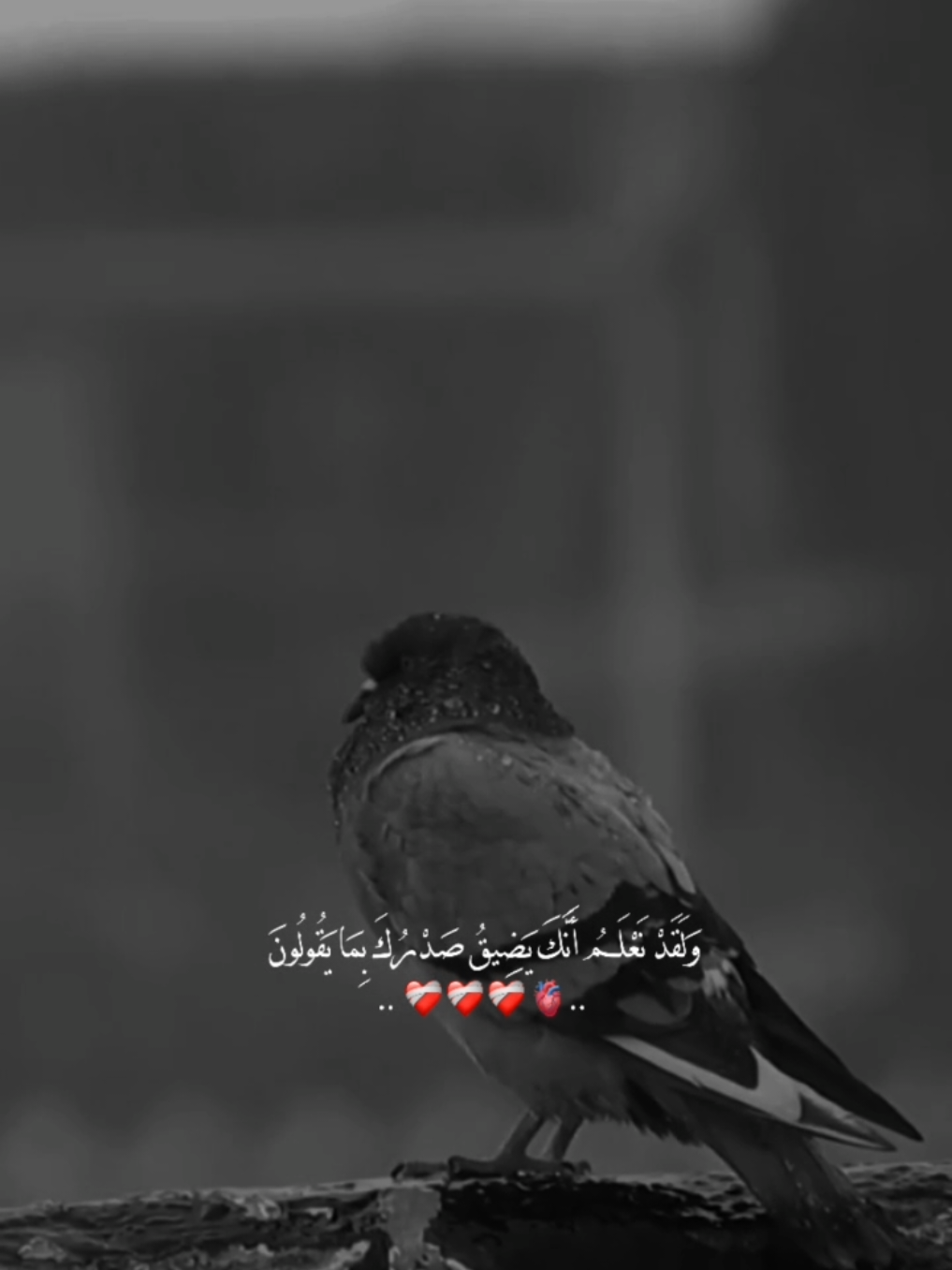 اللَّهُمَّ ثَبِّتْنَا عَلَى أَدَاءِ الصَّلَوَاتِ  فِي أَوْقَاتِهَا وَاجْعَلِ القُرْآنَ العَظِيمَ نُورَ صُدُورِنَا  وَسَبِيلَ هِدَايَتِنَا وَاخْتِمْ لَنَا بِالْخَيْرِ  وَاغْفِرْ لَنَا ذُنُوبَنَا وَتَجَاوَزْ عَنْ زَلَّاتِنَا يَا أَكْرَمَ الأَكْرَمِينَ #يَآرَبِّ✨🌒 