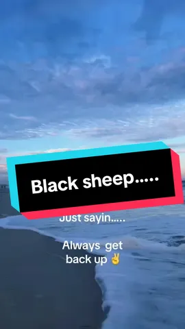 #blacksheep #truth #always #getbackup #justsayin #allthevibes #life #family 