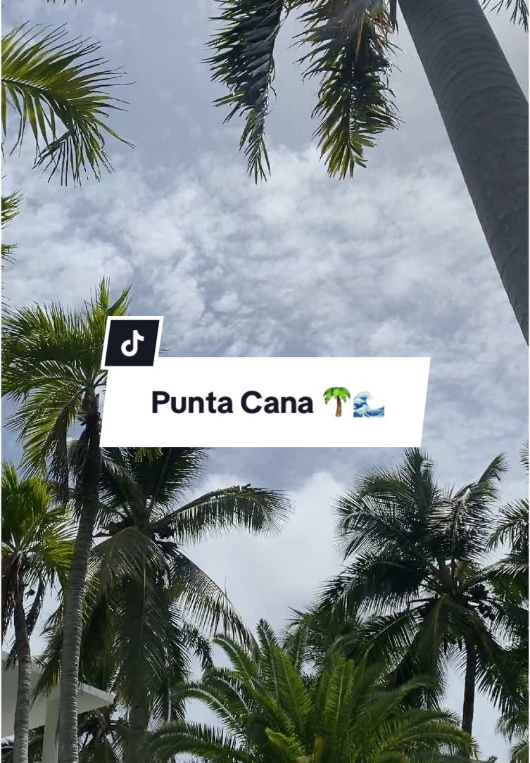 Tu no estás triste, solo necesitas un viaje a república dominicana, a un hotel todo incluido 😎✨🇩🇴✈️ #republicadominicana🇩🇴 #islasaona #paratiiiiiiiiiiiiiiiiiiiiiiiiiiiiiii #todoincluido #hotelgrandbavaroprincess #grandbavaroprincess #vacaciones #tour #dominicanrepublic 