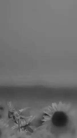 #اللهم امين #🥺🥀 #الحَمدُلله الذّي يُهَونُ علينا مِن حَيثُ لا نَحتسب ؛ « إِنَّهُ بِهِمْ رَءُوفٌ رَحِيمٌ »