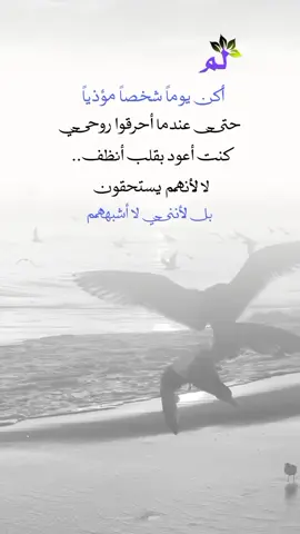 #اكسبلورر 
