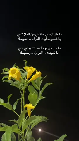 #بوح_اخر_الليل 