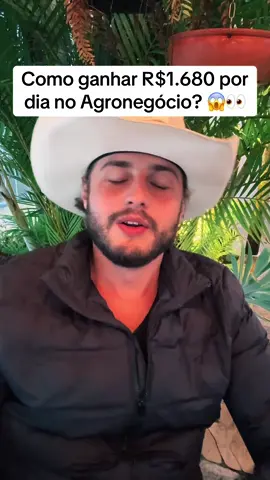 Sabe como ganhar R$1.680 por dia, bruto, no agronegócio??? Assiste aí!!! #agropecuaria #agro #pecuária #pecuariabrasil🇧🇷🐂🐂🐂🐂 #pecuaria #agronomia #milho #soja 