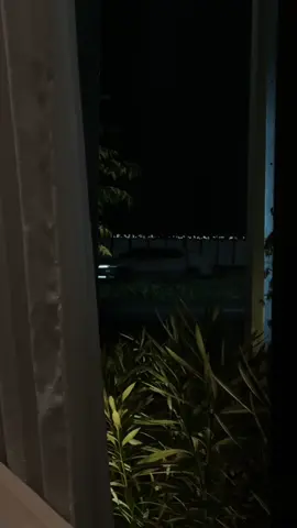 @vo_caffee  #explor #foryou #4u 