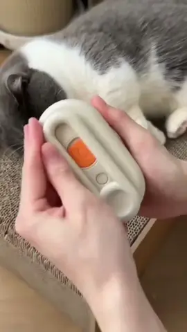 Escova a vapor para pets. #gato #cachorro #pelo #escova 