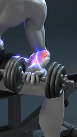 💪 Build Stronger Forearms with These Simple Exercises #tiktokshopseller #tiktoker #viralvideos #fypdong #demicostory 