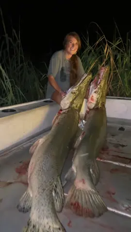 A dream 😍 @SouthernStyleBowfishing @johnjacobsen97 #fyp #foryoupage 