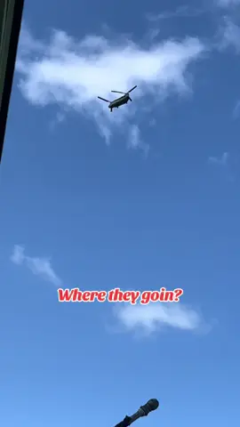 2 Chinooks over the homestead. 