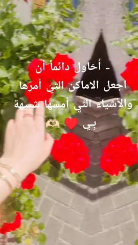 #الشعب_الصيني_ماله_حل😂😂 #trending #tiktok #fyp #fypシ゚viral #fyppppppppppppppppppppppp #fypシ #برلين #العالم #اوروبا #الخليج #سوريا #السعودية #العراق #الرياض #دمشق 